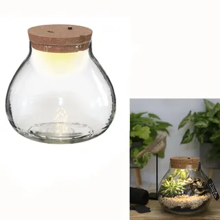 Annastore Pflanz-Terrarium mit LED-Beleuchtung - H 14 cm - Ø 15,5 cm