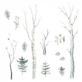204 Wandtattoo Wald Aquarell - Birkenstämme Tannen Zweige Größe 1750 x 980 mm - in 6 Größen - Kinderzimmer Sticker Wandaufkleber Wandsticker Wanddeko Wandbild