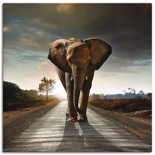 ARTLAND Wanddeko Leinwand Bilder Wandbild Tiere Wildtiere Elefant Fotografie Braun Ein Elefant läuft auf der Straße T9QO