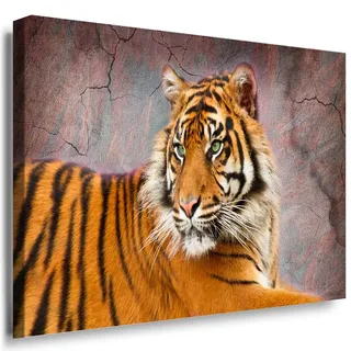 Julia-Art - Bilder Tiger Leinwand mit Keilrahmen 120 x 80 cm Leinwandbild XXL Wandbild Tiere Kunstdrucke Tierwelten Bild Wanddesign Wanddekoration c-642v-188