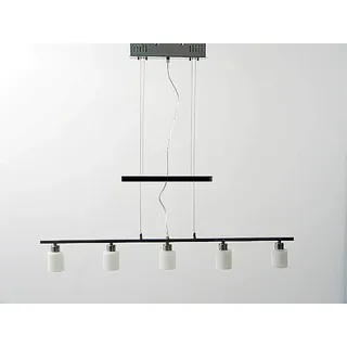 Dapo Glas-Pendel-Decken-Leuchte PASCAL Opalglas/Nickel höhenverstellbar Pendel-Hänge-Esszimmer-Leuchte-Lampe inklusive Halogen-Leuchtmittel G4 5x 20 W