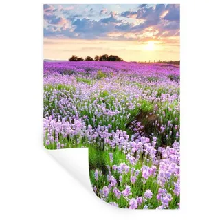 MuchoWow Wandsticker Blumen - Lavendel - Lila - Himmel - Sonnenuntergang - Wiese - Natur (1 St), Wandaufkleber, Selbstklebend, Wohnzimmer, 20x30 cm bunt 20 cm x 30 cm x 0.1 cm