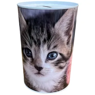 BLUECHOLON Originelle Spardose mit Stil und Botschaft, große Spardose für Erwachsene, Spardose, Geschenk, Spardose XL (graue Katze, 12 x 9)