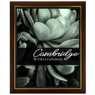 Einzelrahmen Bilderrahmen Cambridge, (1 Stück), 70x90 cm, Nussbaum Gold, Holz braun 70 cm x 90 cm