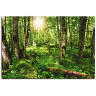 Wandbild ARTLAND "Wald" Bilder Gr. B/H: 120 cm x 80 cm, Leinwandbild, grün Bild Kunstdruck Bilder als Alubild, Leinwandbild, Wandaufkleber oder Poster in versch. Größen