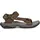 dark olive/desert palm 42