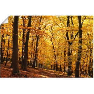 Artland Wandbild Spaziergang im Herbstwald, Wald (1 St), als Alubild, Outdoorbild, Leinwandbild, Poster in verschied. Größen goldfarben 30 cm x 20 cm