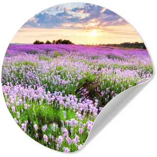 MuchoWow Wandsticker Lavendel - Blumen - Sonnenuntergang - Lila - Wiese (1 St), Wanddeko Wohnzimmer Schlafzimmer Wandverkleidung, 50x50 cm bunt 50 cm x 50 cm x 0.1 cm