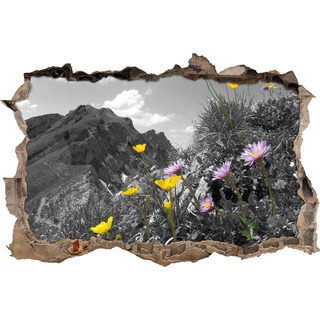Pixxprint 3D_WD_5247_62x42 Traumhafte Blumenwiese im Frühling Wanddurchbruch 3D Wandtattoo, Vinyl, schwarz / weiß, 62 x 42 x 0,02 cm