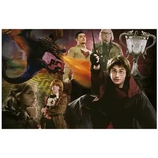 Educa Puzzle Harry Potter Miniatur-Puzzle 1000 Teile, Puzzleteile