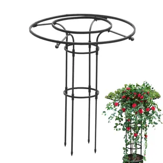 Sucritude Blauregen Schirm Rankhilfe, Garten Rankhilfe Aus Metall, Rankhilfe Für Kletterpflanzen Zimmer, Rosen Kletterhilfe Wetterfest Garten Rankgitter Tomatenkäfig Pflanzenstütze Obelisk Für