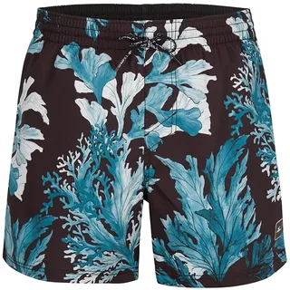 O'NEILL Origin Oyster Herren-Badehose, 39010, Schwarz, Größe M/L