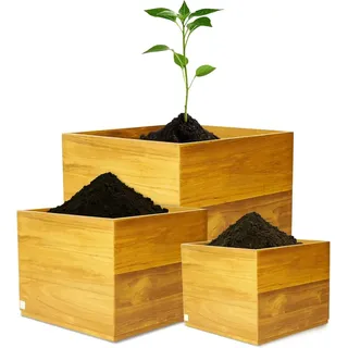 Teak Pur Pflanzkübel Set aus massivem Teak Holz- Pflanzkübel Holz quadratisch – Blumenkübel Naturholz – Pflanzkasten Holz – Blumentopf Holz für Pflanzen (Set)