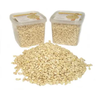 1Kg Pinienkerne Spitzenqualität GradeA  Eutrade
