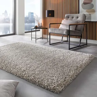Taracarpet Shaggy Hochflor Langflor Teppich Twilight Luxus Qualität aus Belgien geeignet fürs Wohnzimmer Schlafzimmer und Kinderzimmer 6699 Silber grau Weiss 080x150 cm