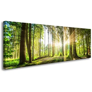Visario Leinwandbild grüner Wald im Gegenlicht — stimmungsvolles Panorama Wandbild auf Leinwand fertig gerahmt — 120x40 cm 5730