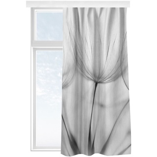 Vorhänge - In einer Pusteblume Schwarz-Weiß, Größe HxB:175x130 cm (1 Vorhang), Material:Schwerer Samt 510g/m2
