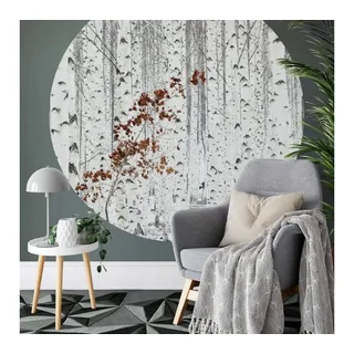 K&L Wall Art Fototapete Fototapete Han abstrakter Birkenwald grau braun Vliestapete Rund Tapete, Waldszene Tapete weiß 2.36 m x 2.36 m
