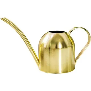 Famanu Gießkanne Edelstahl mit langem Auslauf - 1000 ml, Gold
