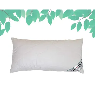 allsana Tencel® Klimafaser Kopfkissen 40x80 cm, Lyocell Kopfkissen voll waschbar bei 60°C, voll waschbares Kissen für Allergiker, atmungsaktiv