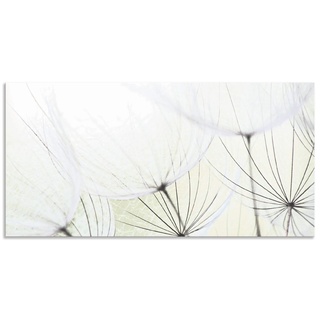 ARTland Wandbild Alu Verbundplatte für Innen & Outdoor Bild 100x50 cm Botanik Blumen Blüten Pusteblume Frühling Landhaus S9MV