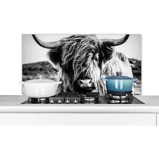 MuchoWow Spritzschutz Küche Küchenrückwand Alu Poster Bilder 100x50 cm Schottischer Highlander - Natur - Kuh - Schwarz - Weiß