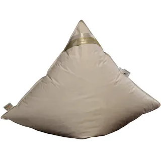 Betten Hofmann Daunen Kopfkissen Kissen 80x80 cm, 100% Daunen, super weich, 850g Füllung, 100% Daunen, prall gefüllt, dick, Naturprodukt, kein Lebendrupf, eigene Herstellung