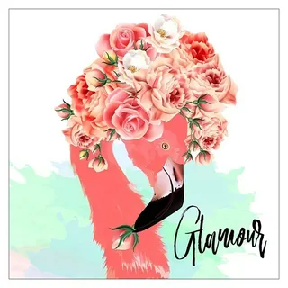 ProArt Leinwandbild  (Glamour Flamingo, B x H: 40 x 40 cm)