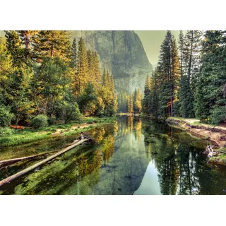 ascreation Fototapete Landschaft Fluss Wald Grün Gelb 3,50 m x 2,55 m FSC®
