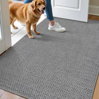DEXI Schmutzfangmatte Innen 90 x 140 cm, rutschfest Fußmatte waschbar, absorbierend Fussmatte, Dünne Türmatte Eingangsteppich für Haustür & Flur, Grau