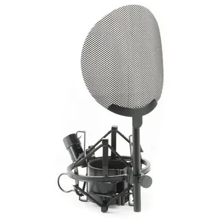 FAME Mikrofon-Halterung, (Audio EA 26 Pop Mikrofonspinne mit Metall-Pop-Schutz Trittschall und Pulsivlauten Schutz Einfache Montage Geeignet für Mikrofone mit 45cm Durchmesser, Stative und Halter für Studio Equipment, Mikrofonspinnen, Audio EA 26 Pop, Mikrofonspinne, Metall-Pop-Schutz)