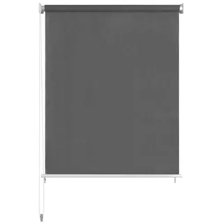 vidaXL Außenrollo 160 x 230 cm Anthrazit