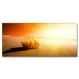 Morbuy Personalisierte Fußmatte Rutschfester Türvorleger mit 3D Strand Muschel Seestern Drucken, Schmutzfangmatte Waschbar Fussmatte Innen Badteppiche (50x80cm,Sonnenuntergang Muscheln)