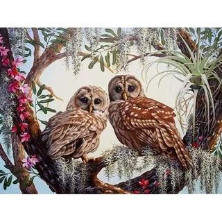 Bimkole DIY 5D Diamond Painting Zubehör Eule, Tier Liebe Diamant Malerei Kit Voll Runde Bohrer Malen nach Zahlen Malerei Stickerei Kreuzstich Diamond Dekoration(30x40 cm)