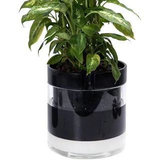 Phoenix Vine 25,4 cm Selbstbewässernder Terrakotta-Pflanztopf, schwarzer Terrakotta-Ton mit Glasreservoir für Zimmerpflanzen, Kräuter, Blumen, 1er-Set, 52-C-I-1