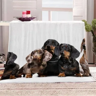 AKATIE Kuscheldecke 150x200 Dackel Flanelldecke 3D Drucken Kuscheldecke Welpe Weiß Super Soft Wohndecke Flauschige Decke Mikrofaser Sofadecke Bettüberwurf