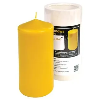 LYSON Kerzengießform Silikonform Walze der Glatte Pfahl Höhe 13,5 cm für Bienenenwachskerzen Giessform zur Kerzenherstellung Bienenwachskerzen gießen Geschenkidee