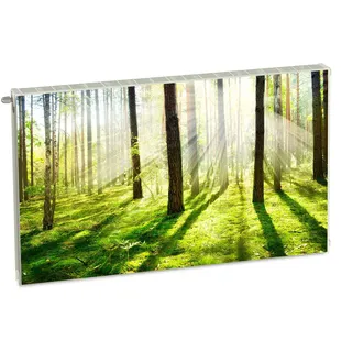 Magnet Heizkörperverkleidung Heizkörperabdeckung Grün Natur 100x60 cm Heizung Abdeckung Verkleidung Magnetische Abdeckmatte Kühlschrank aus Einem Flexiblen Magneten Digitaler Aufdruck