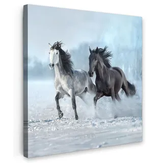 LEINWANDBILD Pferde - Winter - Tiere - Natur - Schnee Wandbild Wohnzimmer 50x50 cm