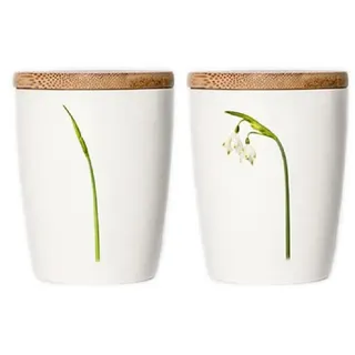 Simply Flowers Tasse 0,24 l Weiß 1 Stück
