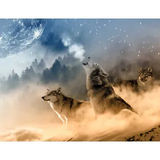 hansepuzzle 35423 - Wolf Puzzle 1000 Teile - Tierwelt-Puzzle mit hochwertiger Aufbewahrung: Kartonbox und wiederverschließbarem Beutel - Format 60 × 46 cm