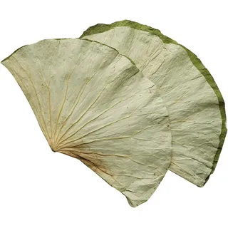 Rainlily Wen Getrocknete Lotusblätter, Sushi-Teller, Dekoration, ganzes Blatt, Lebensmittelverpackung, Party-Dekoration, Kochradius für 27,9 cm große Lebensmittelverpackung, Partyherstellung, Lo Mai
