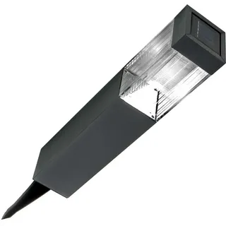 Garten Solarleuchte mit Bodenspieß, 2 LEDs kaltweiß, An-/Aus-Schalter, 6-8 Std. Leuchtdauer, IP 44 - Silber/Transparent