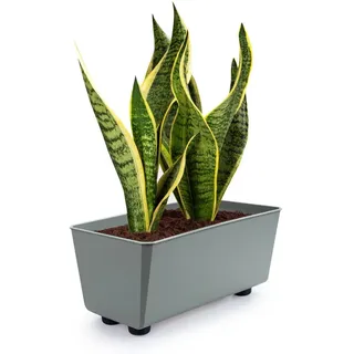 KONZEPT Blumenkasten Blumentöpfe mit Füßen, rechteckig – kleine Blumenkästen 4,2 L (1 St), 284x168x173 mm, ideal für Fensterbank & Zimmerpflanzen grün