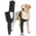 OP-Body Front Leg Double XS