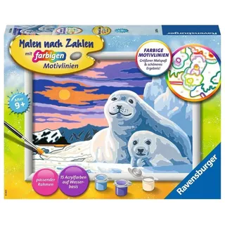 Ravensburger Niedliche Robben 1 Malen nach Zahlen mehrfarbig