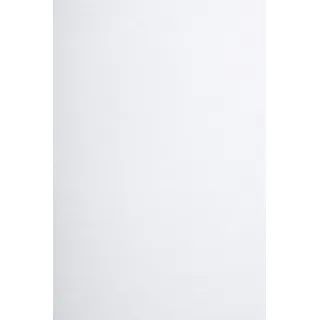 Netuno 100x Naturkarton Weiß DIN A5 14,8 x 21 cm 450g Arena Smooth White weißer Bastelkarton weiße Bastelpappe dick für Visitenkarten Werbeblätter Künstler-Karton Künstler-Pappe a5 Weiß zum Basteln