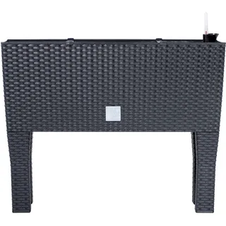 Prosperplast Rato Case High 80 x 33 x 62 cm anthrazit