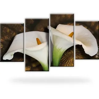 Wandbilder Calla Blume Leinwandbild 4-Teilig: 100x60 cm Mehrfarbig