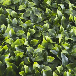 Tenax Divy Panel Pothos100x100 cm Grün, Modulares Paneel mit künstlichen 3D-Blättern im Pothos-Stil für Wände, vertikale Gärten und Innen-/Außendekoration